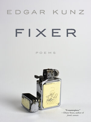 cover image of Fixer